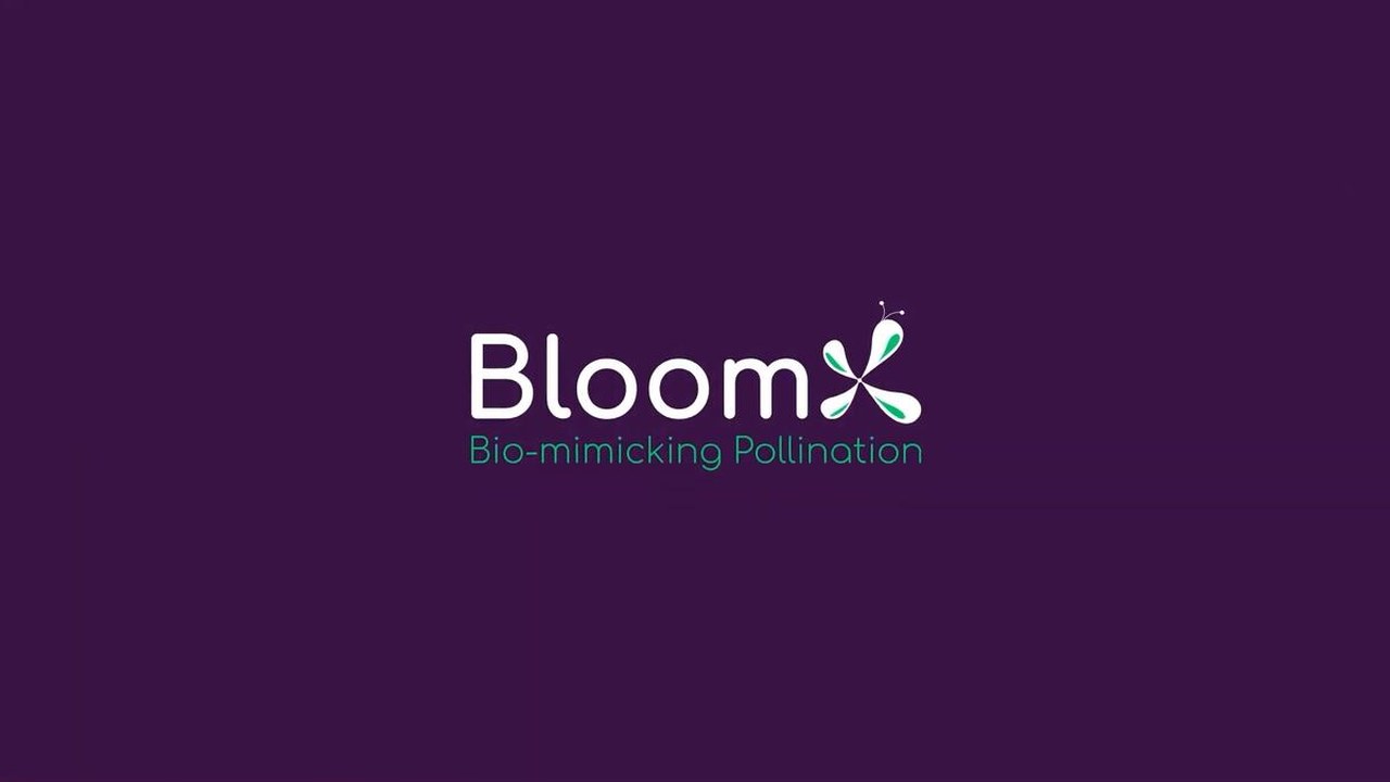 BloomX获1300万美元A轮:授粉长期依赖自然,机器人能否让这一环节变得可管理、可测量